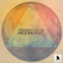 Engin Bayrak Feat Gizem Gunes - Moonlight