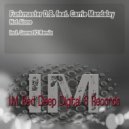 Funkmaster D.B. feat. Carrie Mandalay - Not Alone (Gomez92 Remix)