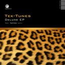 Tek-Tunes - Savant Boogie