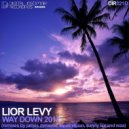 Lior Levy - Way Down 2011 (Liquid Vision Respray)