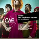 Les Elephants Bizarres - The Boys Remix (Roy Gilles Dreaming Dub Mix)