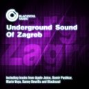 Damir Pushkar & Danny Dewills - Black Jack (Original Mix)