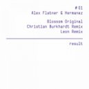 Alex Flatner & Hermanez - Blossom