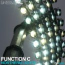 Function C - Northern Lights