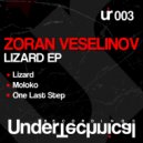 Zoran Veselinov - One Last Step