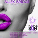 Allex Bridge - Tonight