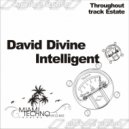 David Divine - Intelligent