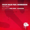 Colin Sales ft Morrisson - Aim High (Park Street Remix)