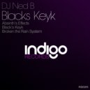 DJ Ned B - Black\'s Keyk (Original Mix)