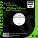JTS, Haze & Zander - Feel That Grove (Original Mix)