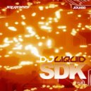 Dj Liquid - Digitize
