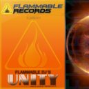 Flammable DJ\'s - Unity (Synthex Remix)