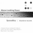 SpaceBoy - Blue Dove