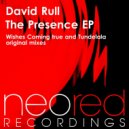 David Rull - Wishes Coming True (Original Mix)