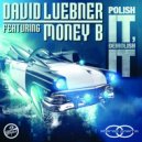 David Luebner feat. Money B. - Polish It, Demolish It (Acapella)