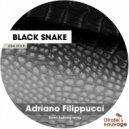 Adriano Filippucci - Black Snake (Soren Aalberg Remix)