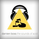 Damien Boss ft. MC Placenta Smoka - The Sounds of Acid