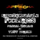 Pascal Morais ft Troy Denari - Indescribable Feelings (J1Mstar Remix)
