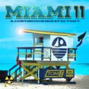 Elevated Solz - Capture (DJ Tom T\'s Detroit Afterhours Remix)