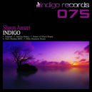 Shaun Ansari - Indigo (House of Elliott Remix)