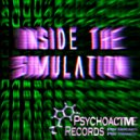 Re:Creation & Unconscious Mind(s) - Inside The Simulation