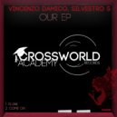 Vincenzo Damico, Silvestro S - Plunk (Original Mix)
