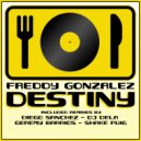 Freddy Gonzalez - Destiny (Geremy Barrios Remix)