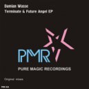 Damian Wasse - Terminate
