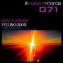 Shaun Ansari - Feeling Good (Max Mason Remix)