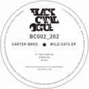 Carter Bros - Run (Original Mix)