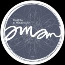 Timid Boy - La Mandarina