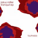 Jairus Miller - Moon Flower (Veya Remix)