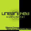 Silence Groove - Bryozoans