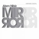 Atem Niblz - Magic Valley