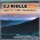 CJ Riddle - Night Fly