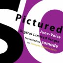 June-Voice - Pictured (Tomoyuki Sakakida Remix)