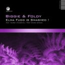 Biggie & Foldy - Elma Fudd Smokes DMT