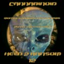 Cannabinoid - Put In The Crystals