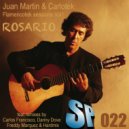 Juan Martin & Carlotek - Rosario (Guitar Improvisation)