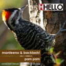 Manteeno & Backlash! - Pam Pam (eV Remix)