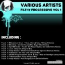 Shuffle Progression ft D.G.X. & Katy - Heat Of The Night (Akisy Remix)