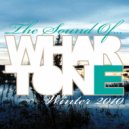 Sonny Wharton - Whiplash (Hooker & De Freitas Remix)