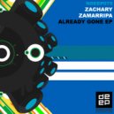 Zachary Zamarripa - Already Gone (System Divine Remix)