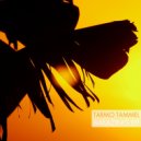 Tarmo Tammel - Sunday (Chillout Mix)