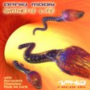 Aphid Moon, Made On Earth - Neblina (Orignal Mix)