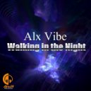 Alx Vibe - Walking In The Night (Original Mix)