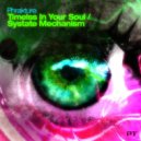 Phrakture - Timeless in Your Soul (Skymind Remix)
