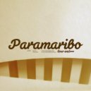 N.U.D.E. - Paramaribo (Bchannel Remix)
