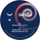 Marko Nastic - Dreams (Sinisa Tamamovic Remix)