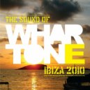 Tom Reynolds - Spain (Original Mix)